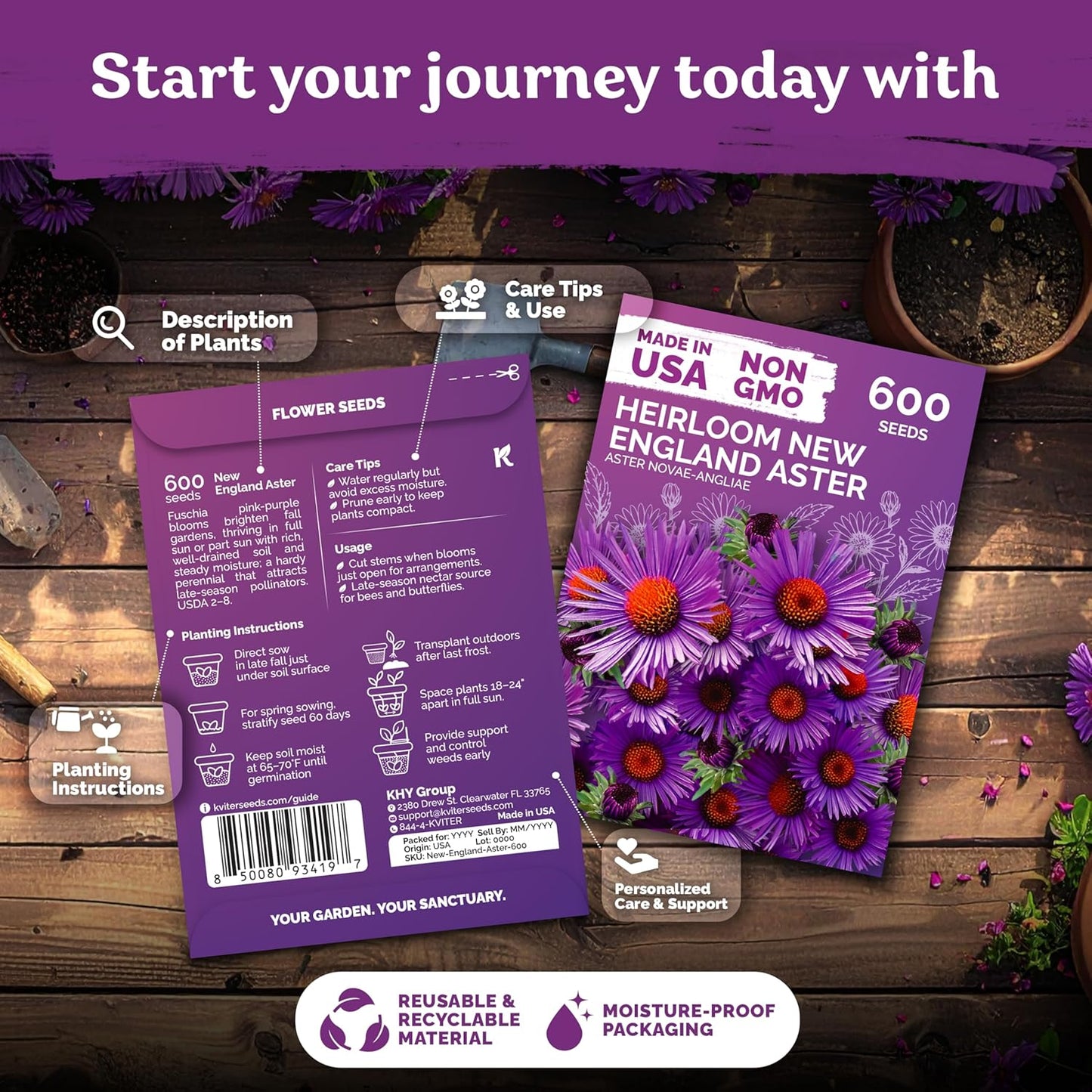 KVITER 600 New England Aster Seeds - Purple Aster Wildflower Seed Packets for Perennial Gardens
