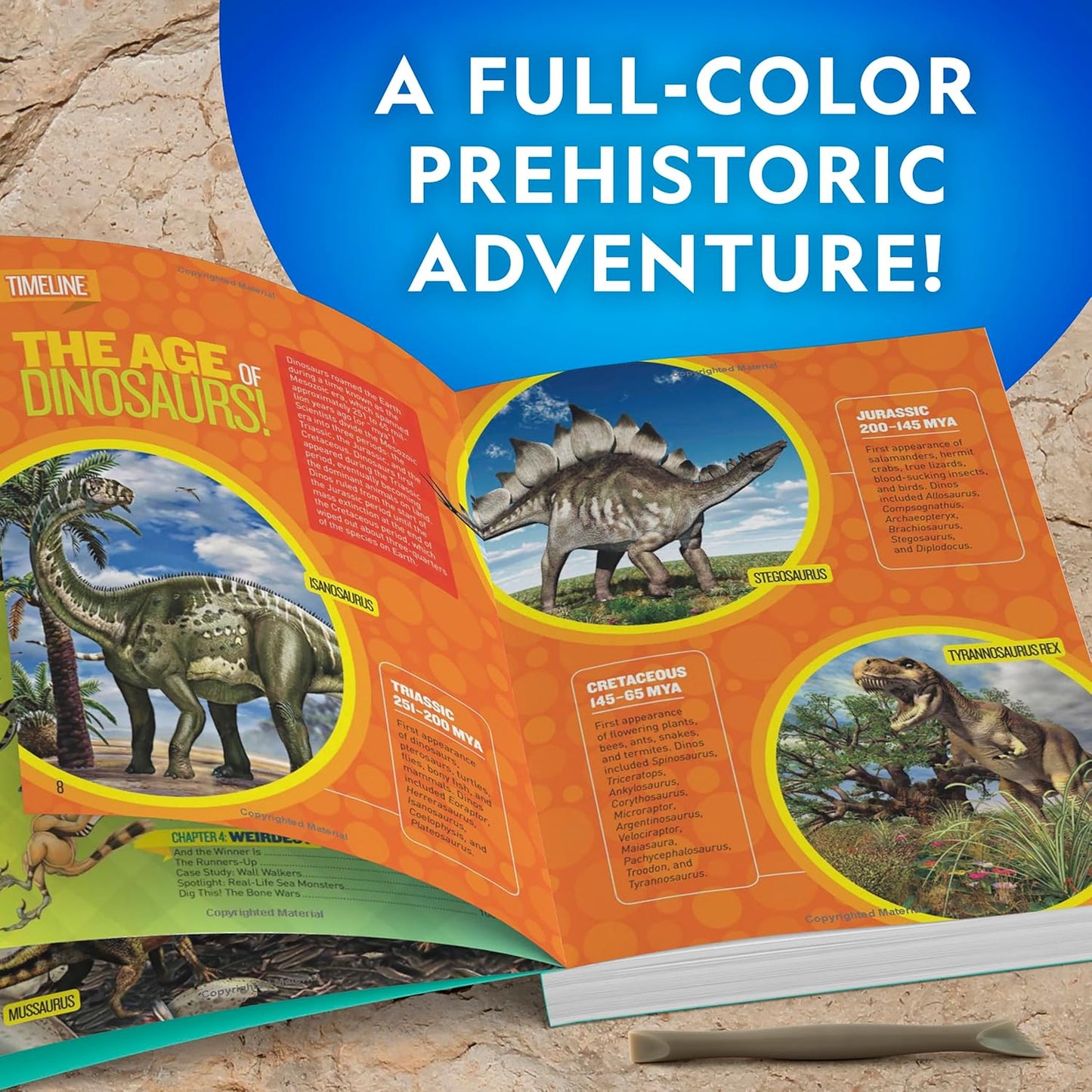 National Geographic Dino Fossil Dig Kit - Excavate Dinosaur Tooth Fossil & Explore Paleontology with Activity Book for Kids