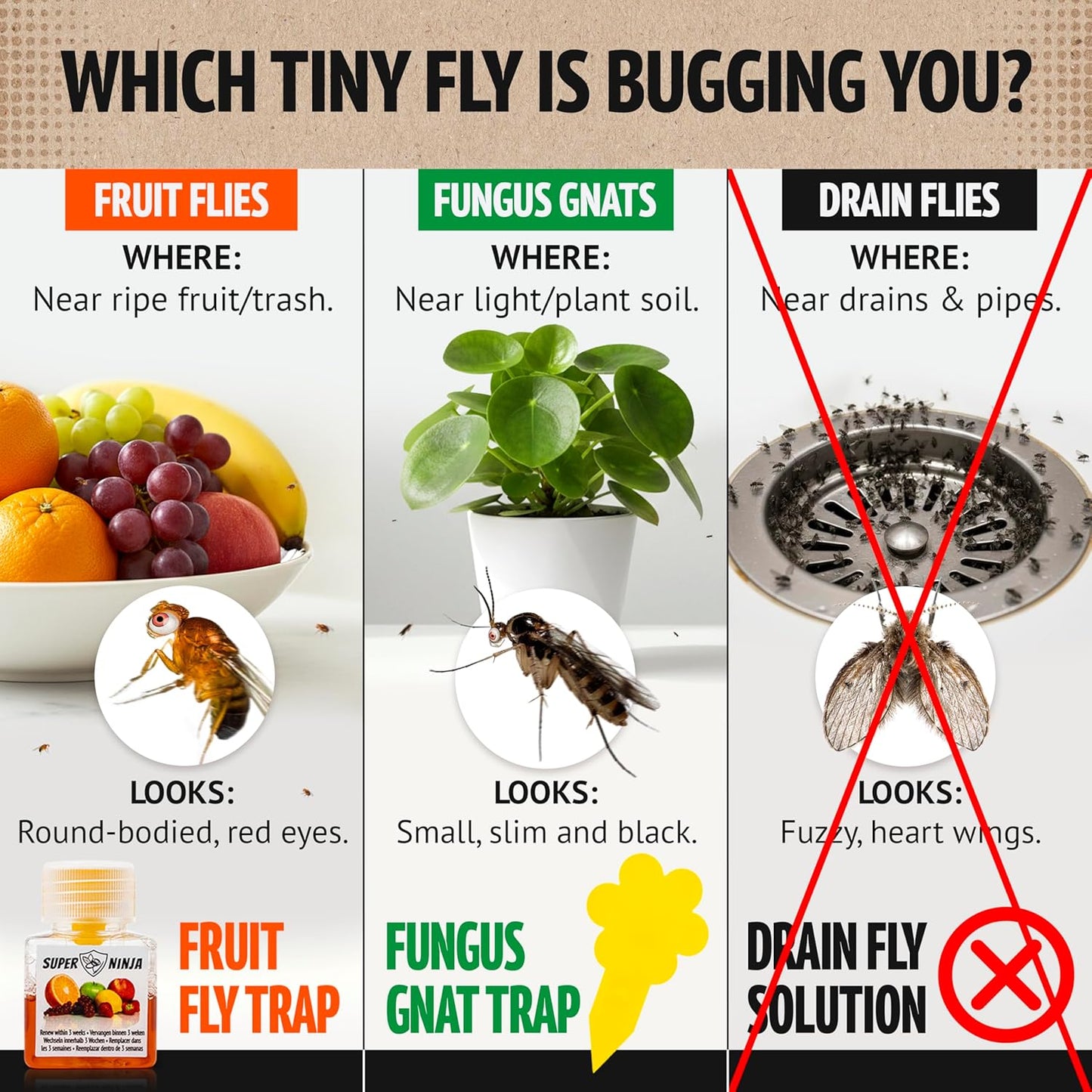 Super Ninja Fruit Fly Traps - Highly Effective Indoor Fruit Fly Catcher | 4 Pack, Kid & Pet Friendly