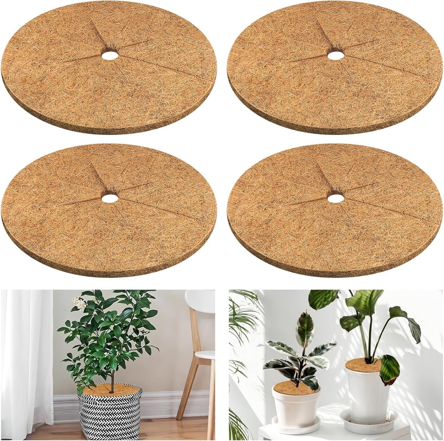 Legigo Coconut Fiber Mulch Ring - 4-Pack Natural Coir Tree Protector Mats | 11.8 Inch Soil Cover for Indoor & Outdoor Plants