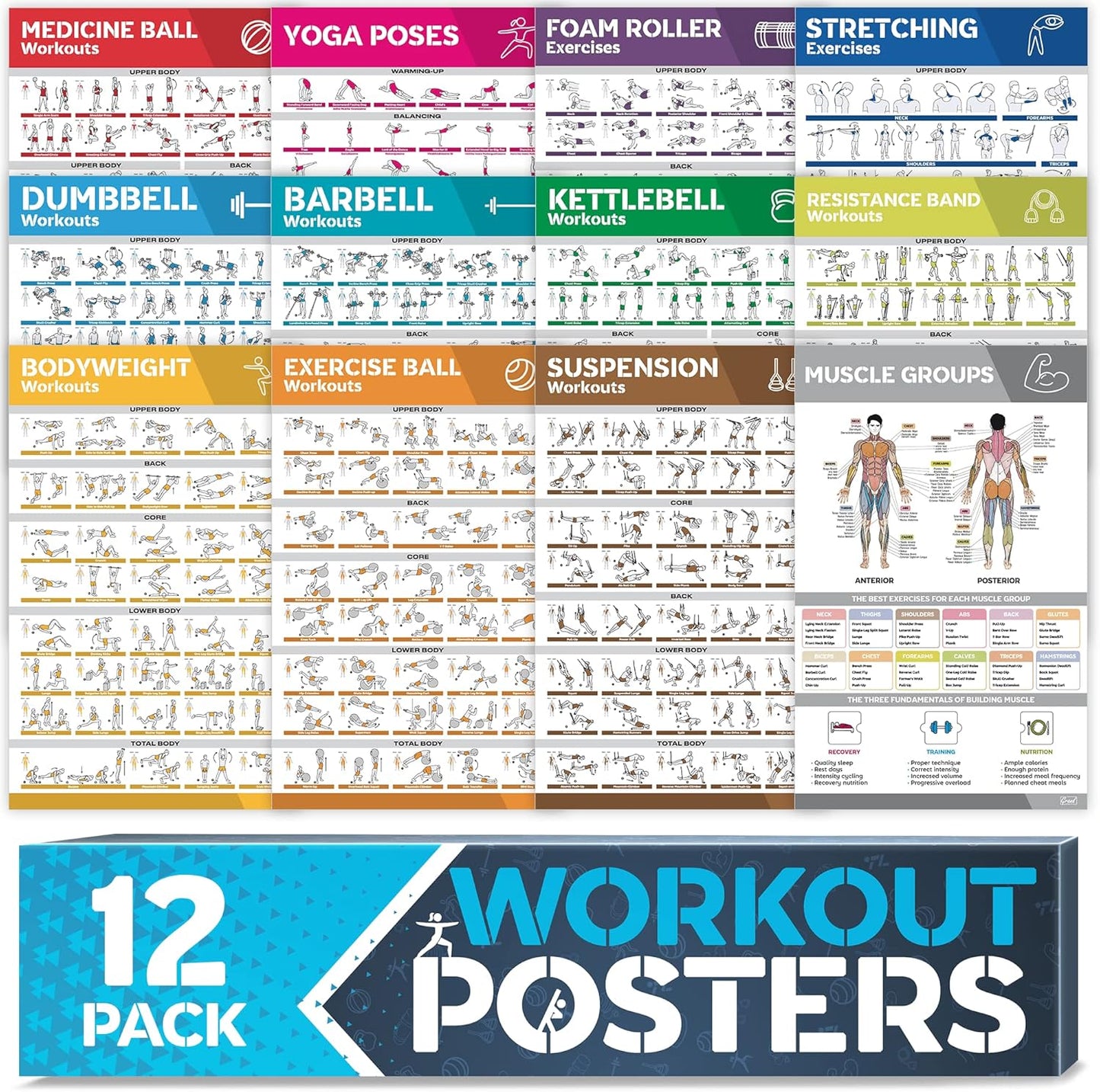 12-Pack Laminated Workout Posters by [Brand Name] - Essential Exercise Charts for Home Gym