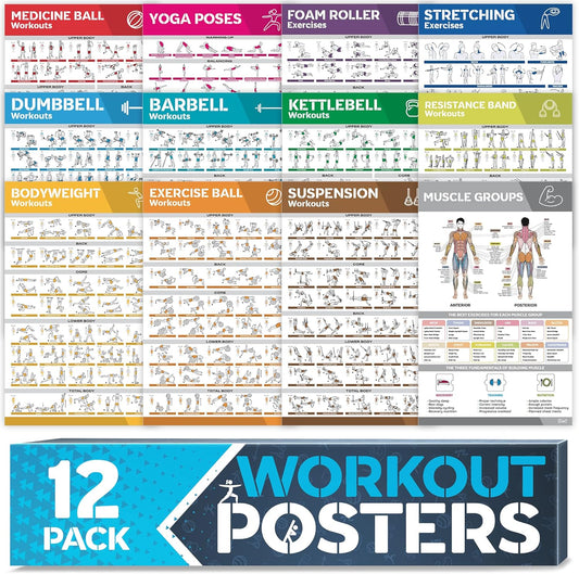 12-Pack Laminated Workout Posters by [Brand Name] - Essential Exercise Charts for Home Gym