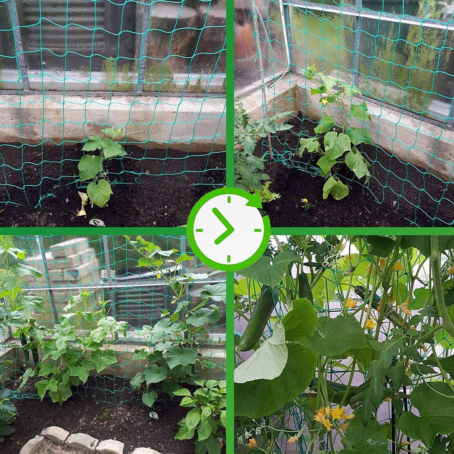 Trellis Netting - Heavy Duty Garden Trellis for Climbing Plants, Cucumber & Tomato - 8.2' x 6.6' Ft