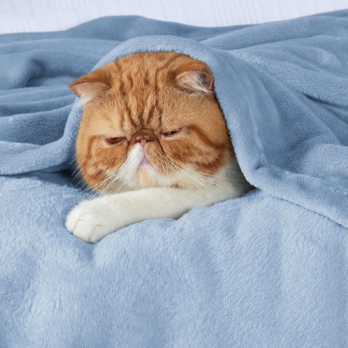 Bedsure GentleSoft Fleece Blanket - Lightweight Plush Cozy Twin Size in Light Blue | 60x80 Inches