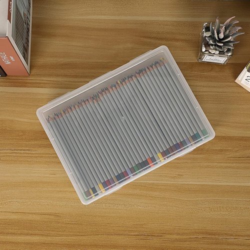 BTSKY Clear Plastic Storage Box - Versatile Craft Organizer with Flap Lid | Medium Size, 2 Pack