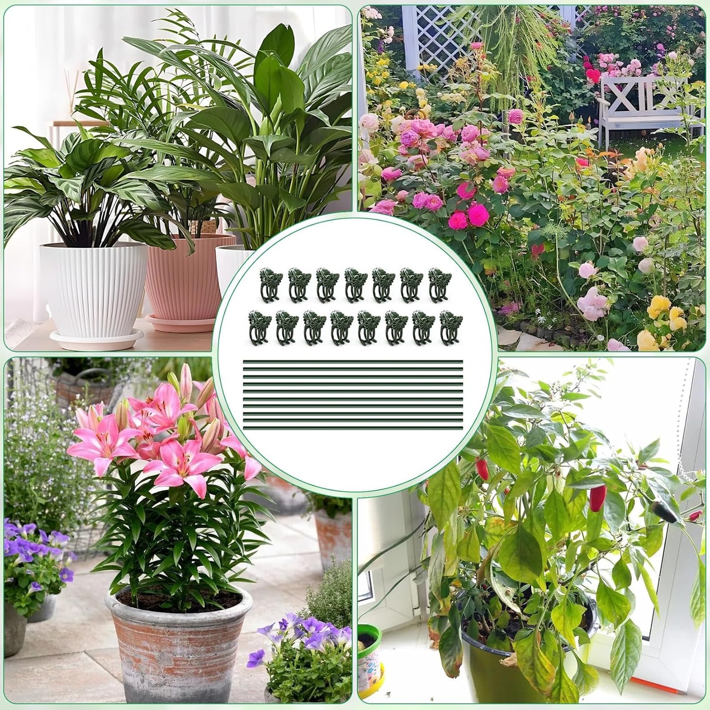 Skiennix 15.7" Plant Stakes - Bendable Support Sticks with 15 Clips for Indoor/Outdoor Plants | Ideal for Orchids, Roses, and Peonies