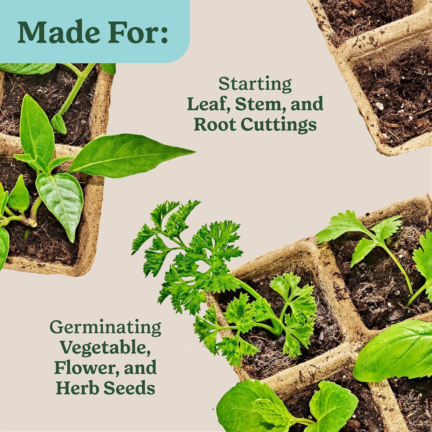 Miracle-Gro Indoor Potting Mix - Ideal for Seed Starting & Cuttings | 8 Qt. (2-Pack)