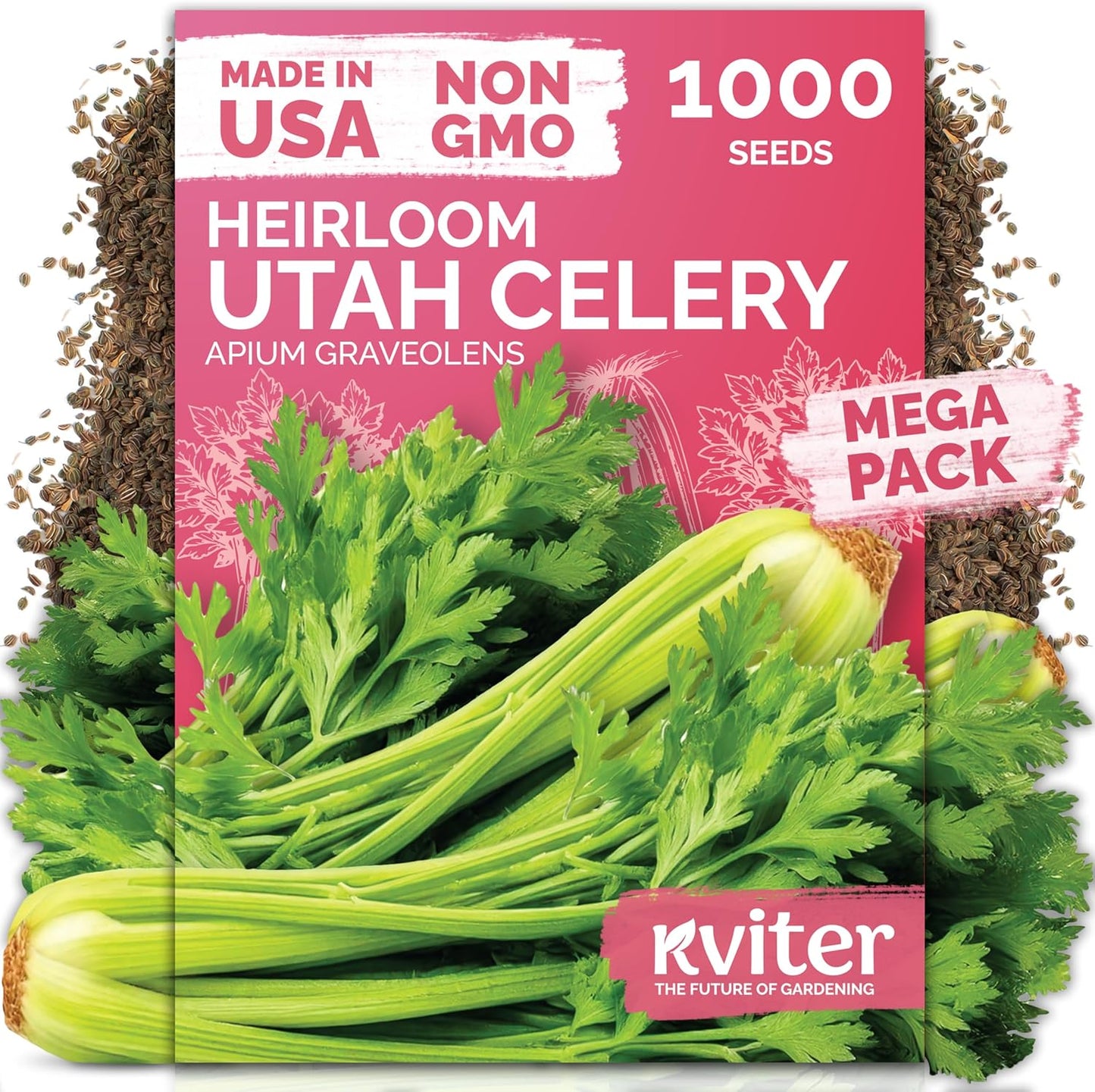 KVITER 1000 Tall Utah Celery Seeds - Non-GMO Heirloom Vegetable Seeds for Indoor & Outdoor Gardens