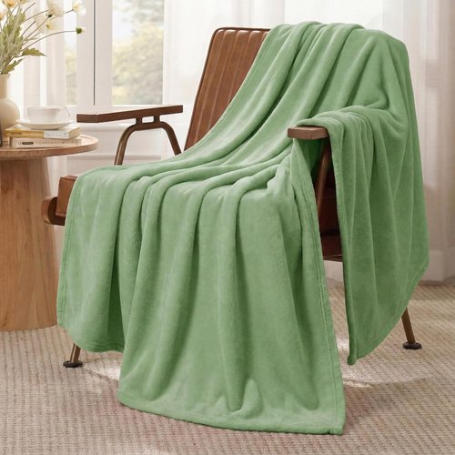 Bedsure GentleSoft Fleece Blanket - Plush Cozy Twin Size Green 300GSM for Bed, Sofa, Travel | 60x80 Inches