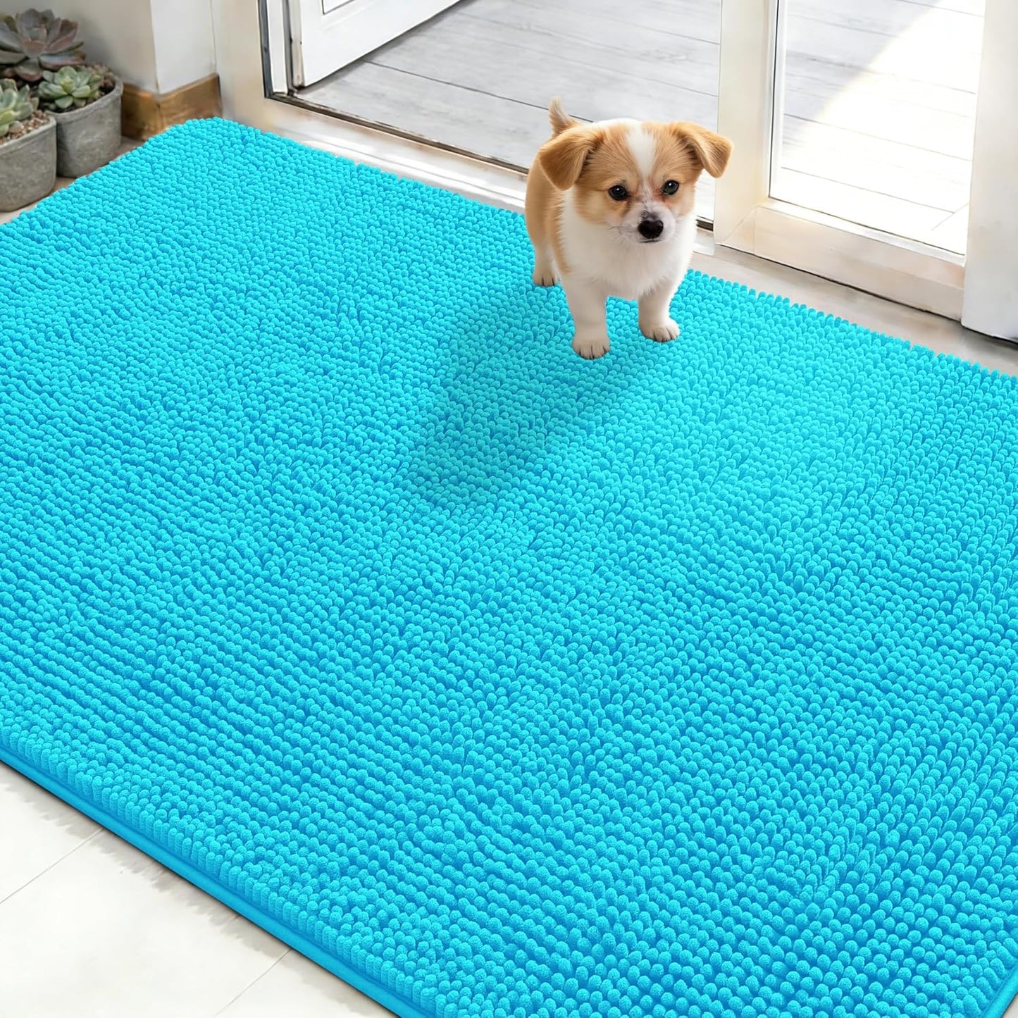 OLANLY Dog Door Mat - Absorbent Non-Slip Washable Doormat for Muddy Paws | Quick Dry Chenille, Aqua Blue 48x30