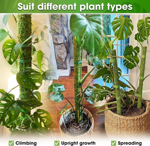 DUSPRO 42” Moss Pole - Natural Climbing Support for Monstera & Indoor Plants | Real Moss Stake