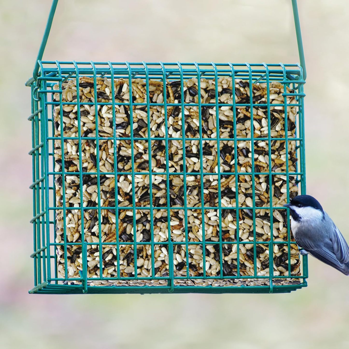 Kaytee Wild Bird Seed - Nutritious Mealworm Seed Cake for Bluebirds & Chickadees | 1.4 Pound