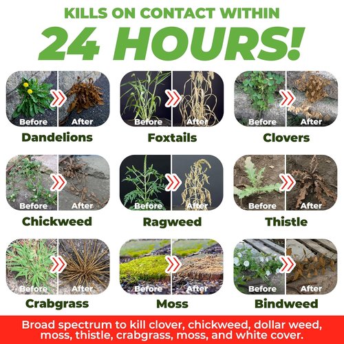ECO Garden PRO - Organic Vinegar Weed Killer | Safe for Kids & Pets | Effective Against Clover, Moss & Poison Ivy (1 Gallon)