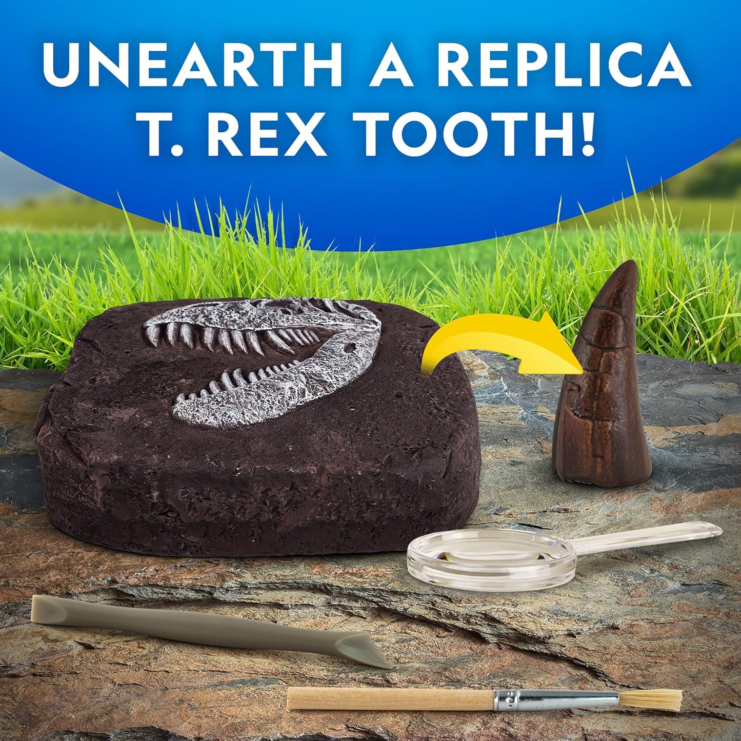 National Geographic Dino Fossil Dig Kit - Excavate Dinosaur Tooth Fossil & Explore Paleontology with Activity Book for Kids