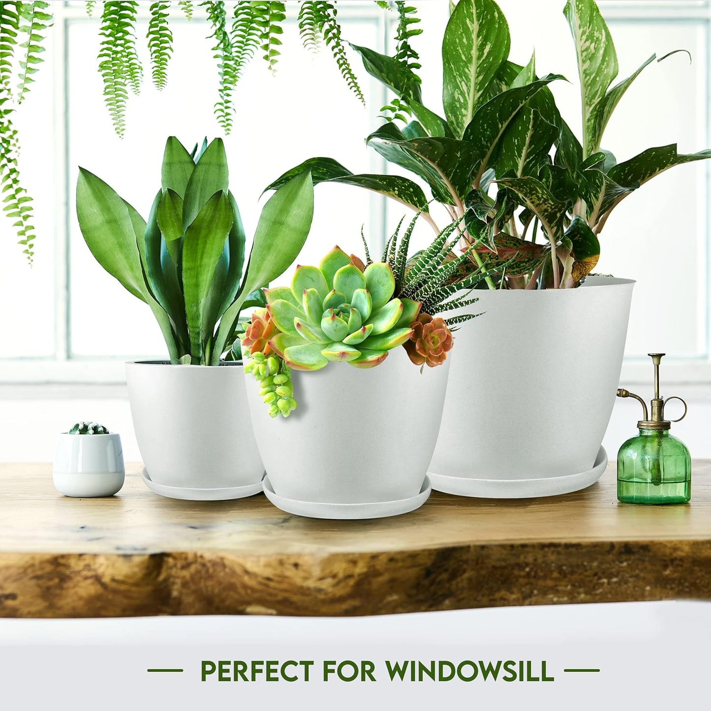Utopia Home Indoor Plant Pots - Set of 5 White Plastic Planters with Drainage Holes | Modern Décor (4.8-7 Inch)
