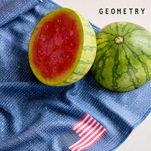 GEOMETRY Kitchen Tea Towel - Quick Dry Microfiber Cloth Dish Towels for Kitchen Drying - Premium Quick Dry Towel (USA Party, 1-Pack)