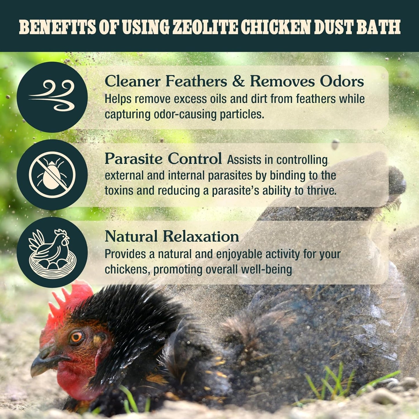 Zeolite Chicken Dust Bath - All-Natural Finely Milled Dust in 12 lb Kraft Box | Made in The USA