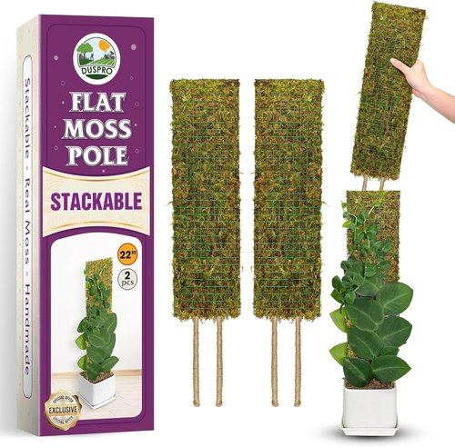 DUSPRO Moss Poles for Climbing Plants - Stackable 22” Handmade Real Moss Sticks | 2 Pack for Indoor Growth