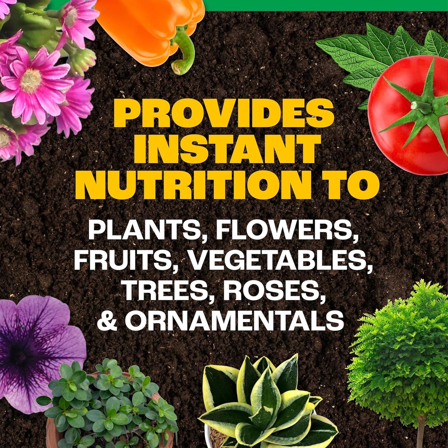 Pennington All-Purpose Plant Food - Water Soluble Formula | 20-10-20 | 1.5 lb Size