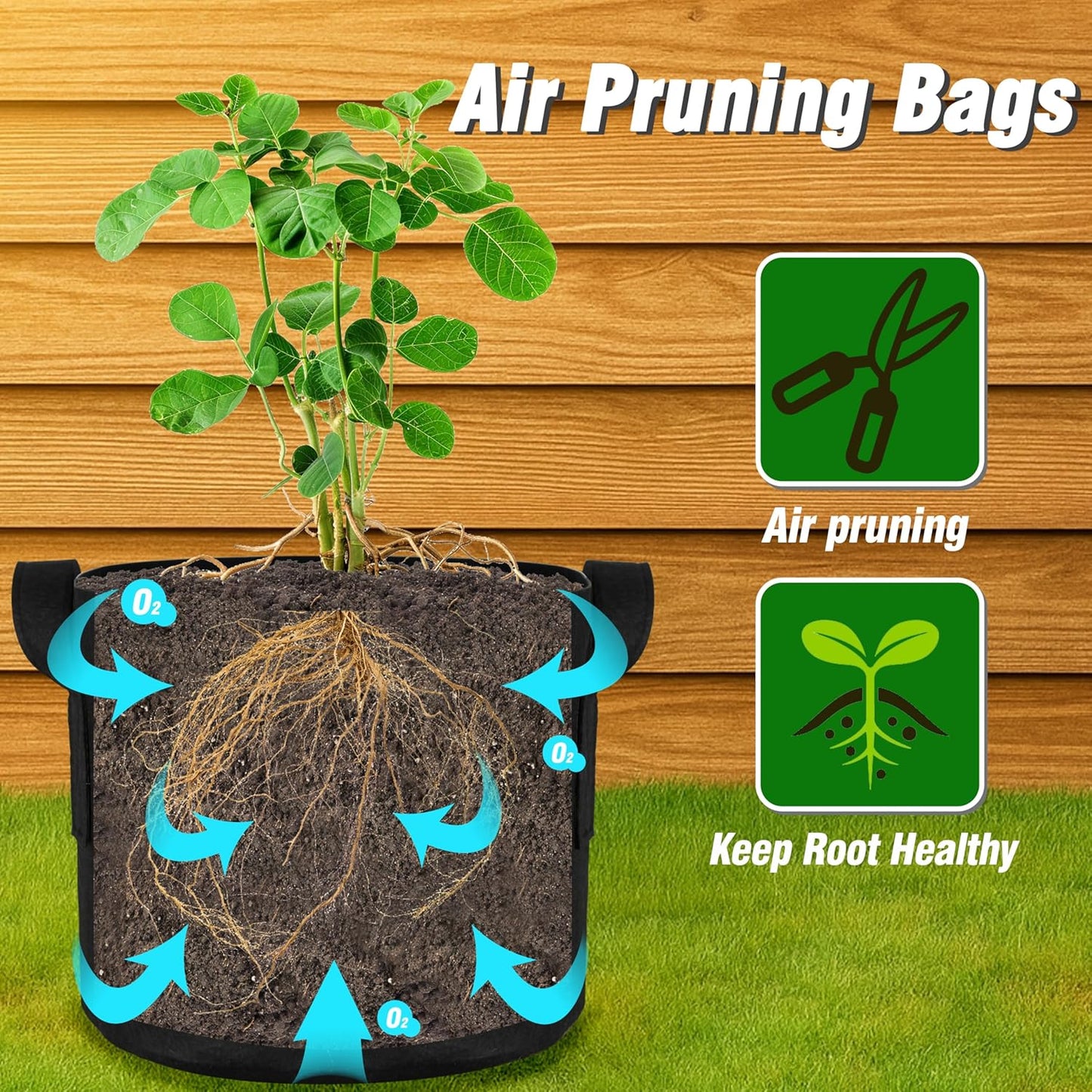PHYEX 12-Pack 2 Gallon Grow Bags - Heavy Duty Fabric Pots with Handles for Vegetables, Herbs & Flowers