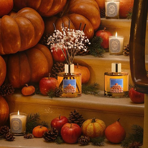 Cocorrína Reed Diffuser - Pumpkin Harvest Scented Set with 8 Sticks & Baby's Breath Decor
