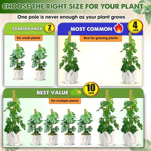 DUSPRO Natural Stackable Moss Pole - Monstera Plant Support Sticks | 22" Handmade Indoor Plant Stakes (2 Pcs)