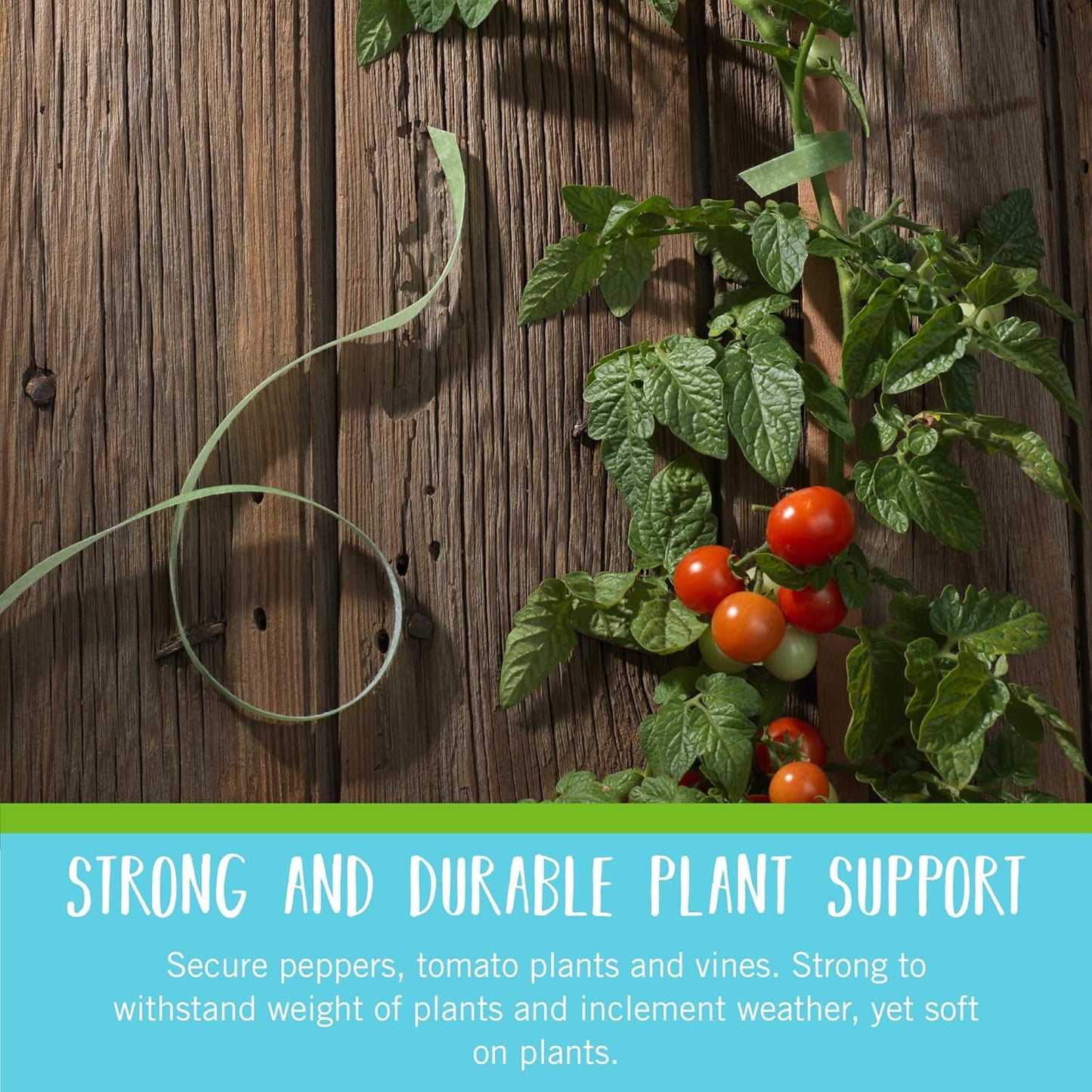 Velcro Brand Garden Plant Ties - 45 Pre-Cut One-Wrap Ties for Tomatoes & Flowers | 8" x 1/2", Green Recycled Plastic