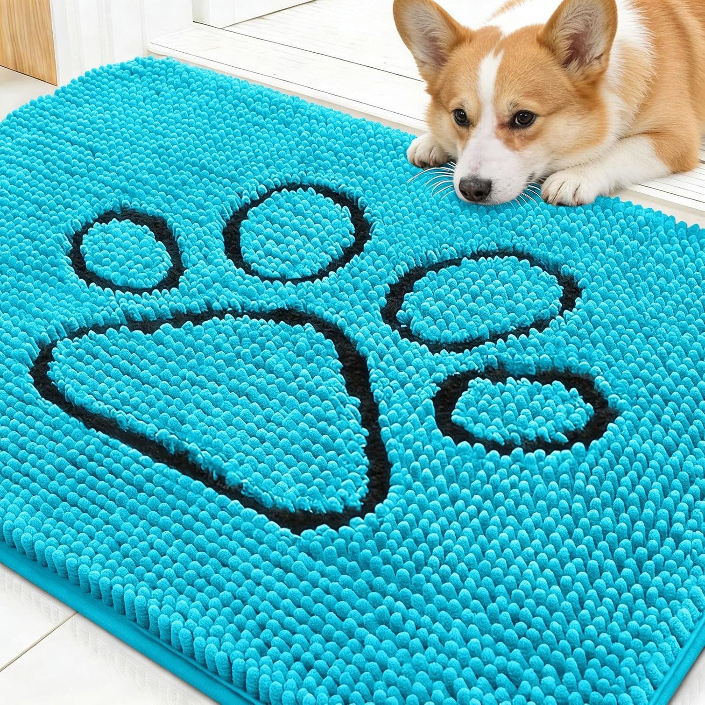 OLANLY Dog Door Mat - Absorbent Non-Slip Mud Mat for Paws | Aqua Blue, 30x20 Inches, Quick Dry Chenille