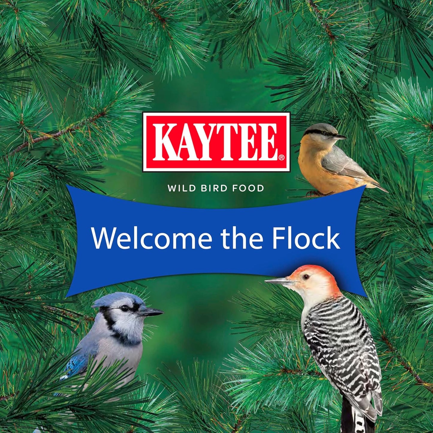 Kaytee Shelled Peanuts - High-Quality Bird Food for Cardinals, Blue Jays & Woodpeckers | 11 Pounds