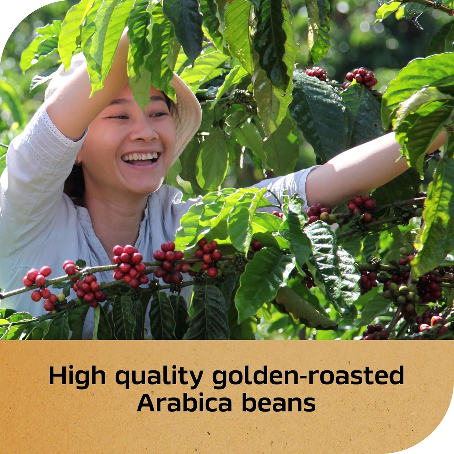 NESCAFÉ Gold Espresso Blonde - Premium Instant Coffee for Rich Flavor | 3.5 oz