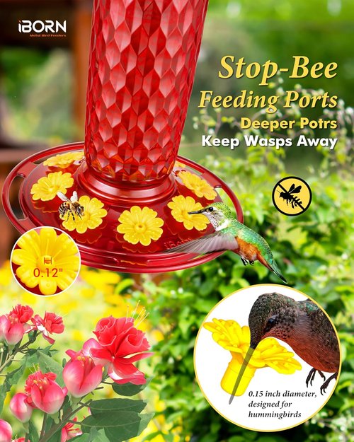 iBorn Hummingbird Feeders - 16oz Outdoor Hanging Feeder with 8 Bee Guards & Ant Moat | Red Honeycomb Design