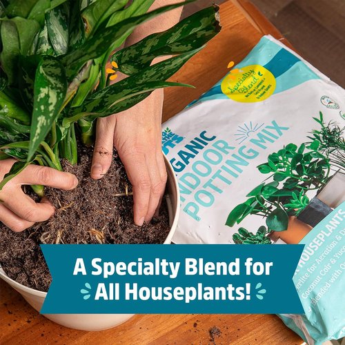 Back to the Roots 100% Organic Potting Mix - 12 Quart Value Bag | Promotes Healthy Houseplant Growth