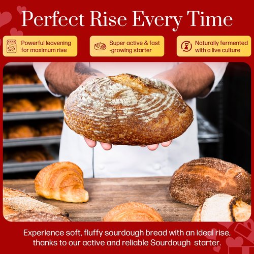Gluten Free Sourdough Starter - 100+ Year Old Dehydrated Heirloom Style Sourdough Starter Kit for Sourdough Bread, Pizza, Buns, Pancakes, Muffins | Easy to Use | Beginner Friendly