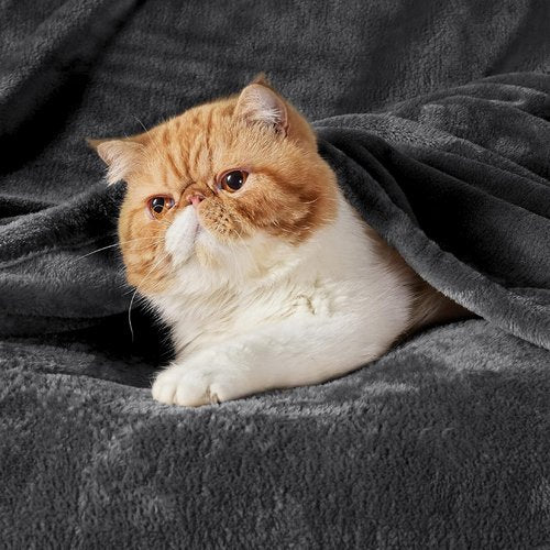 Bedsure GentleSoft Fleece Blanket - Cozy Lightweight Plush Twin Size Dark Grey, 60x80 Inches