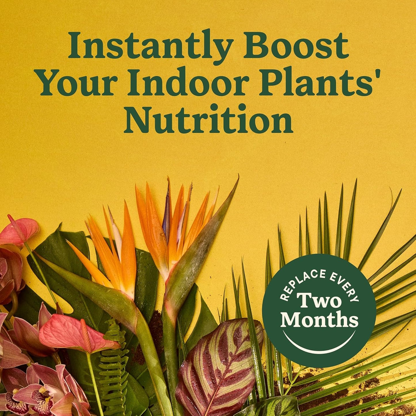 Miracle-Gro Indoor Plant Food Spikes - Fertilizer Spikes for Houseplants, Flowers & Vegetables | 24 Count