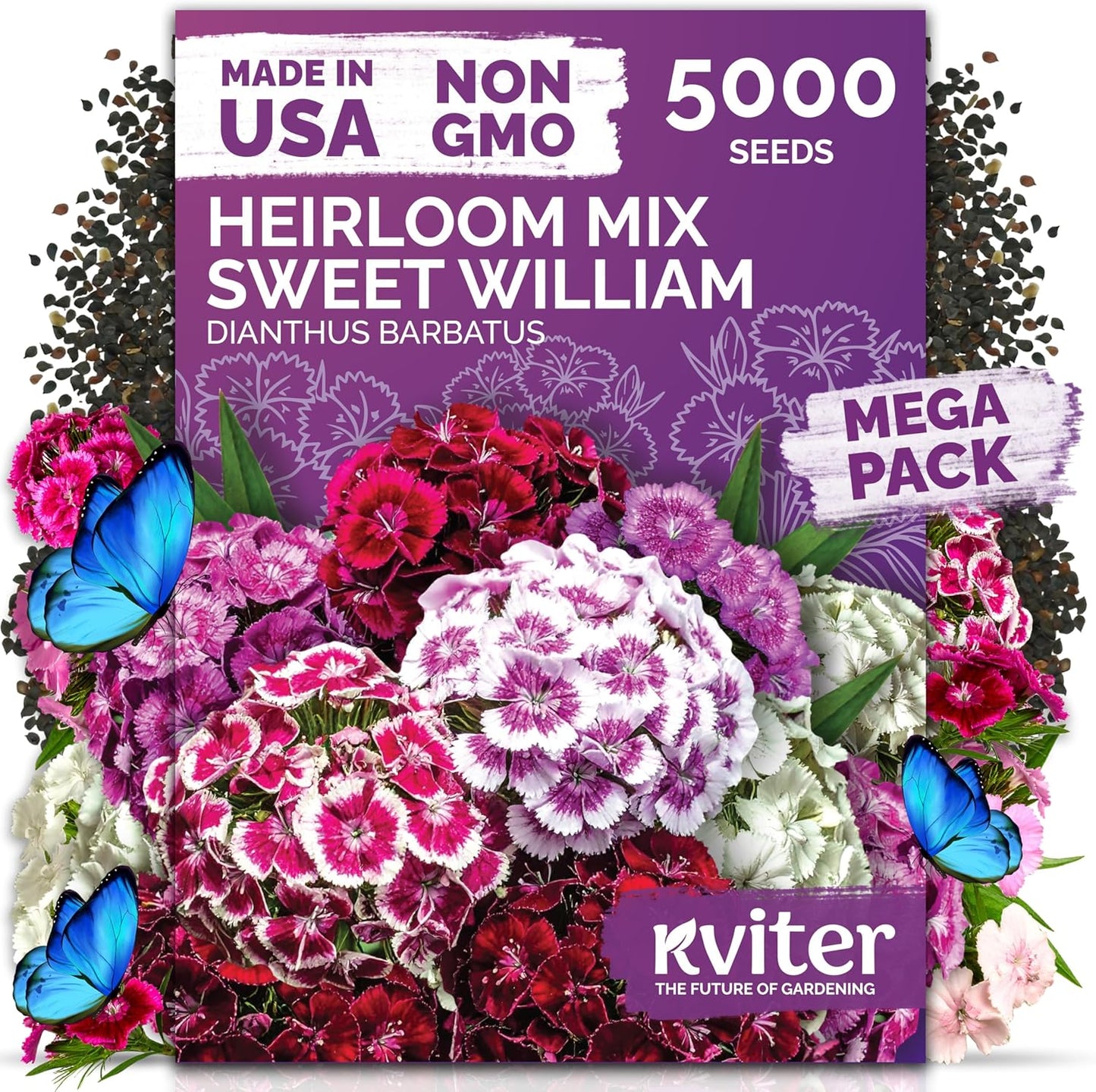 KVITER 5000 Sweet William Seeds - Organic Heirloom Clove-Scented Perennial Flower Seeds for Indoor & Outdoor Planting