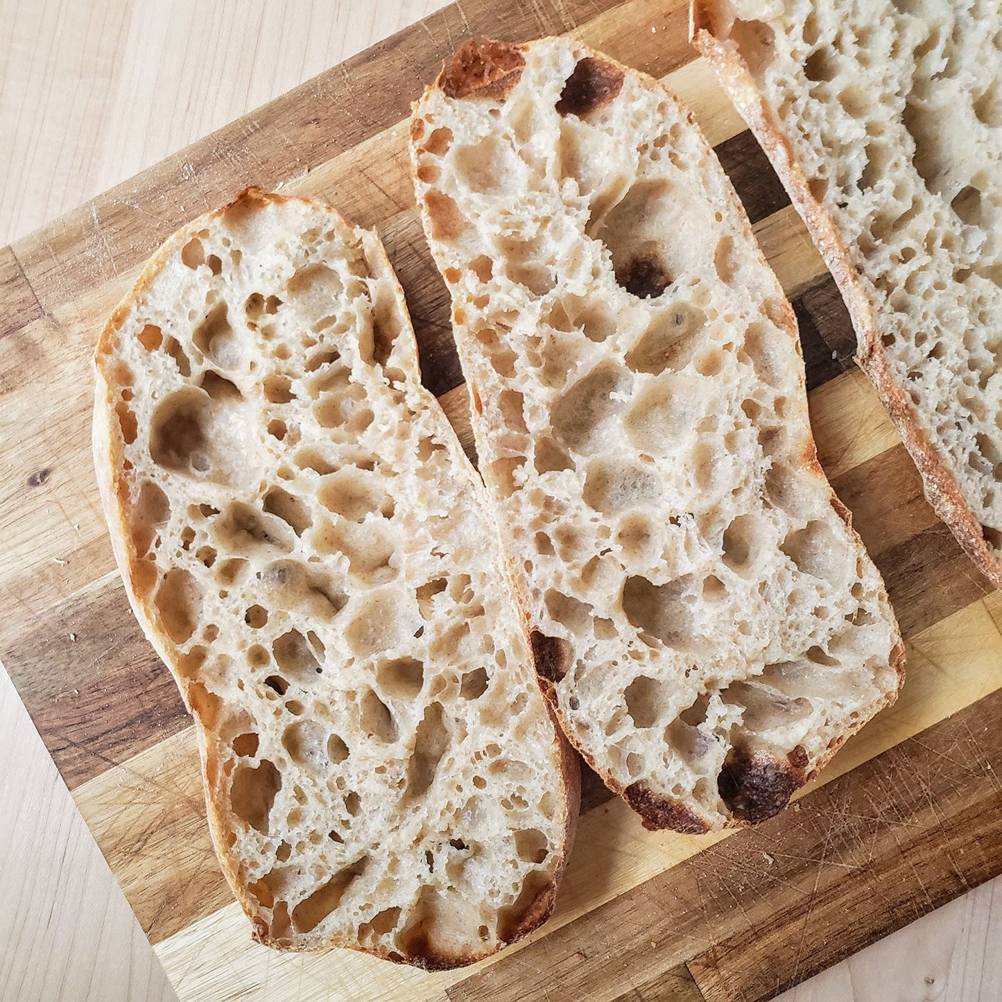 Breadtopia Live Sourdough Starter | Organic Non-GMO Ingredients | Active & Ready to Go | It's Alive - Must be Fed Immediately on Delivery