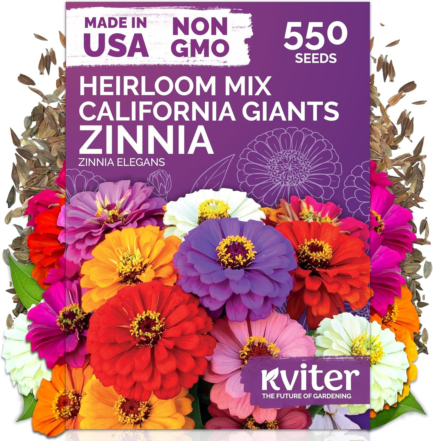 KVITER 550 California Giant Zinnia Seeds - Heirloom Non-GMO Double Blooms | Perfect for Gardens & Containers