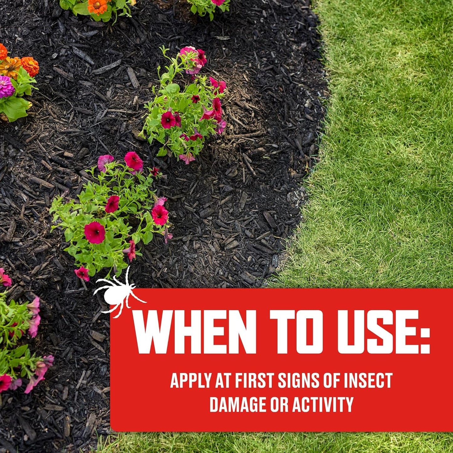 Ortho BugClear Lawn Insect Killer - Effective Granules for Ants, Spiders, Ticks & Fleas | Treats 16,500 sq. ft., 10 lb.