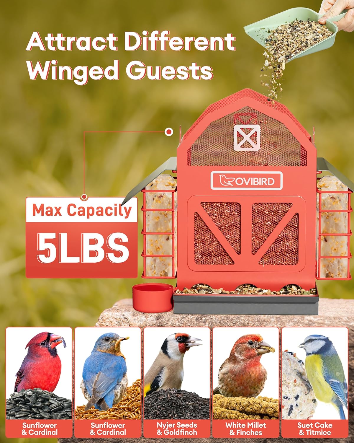 Red Barn Metal Bird Feeder - Large 5LBS Outdoor Hanging Feeder with 2 Suet Cages | Weather Resistant for Bird Watching
