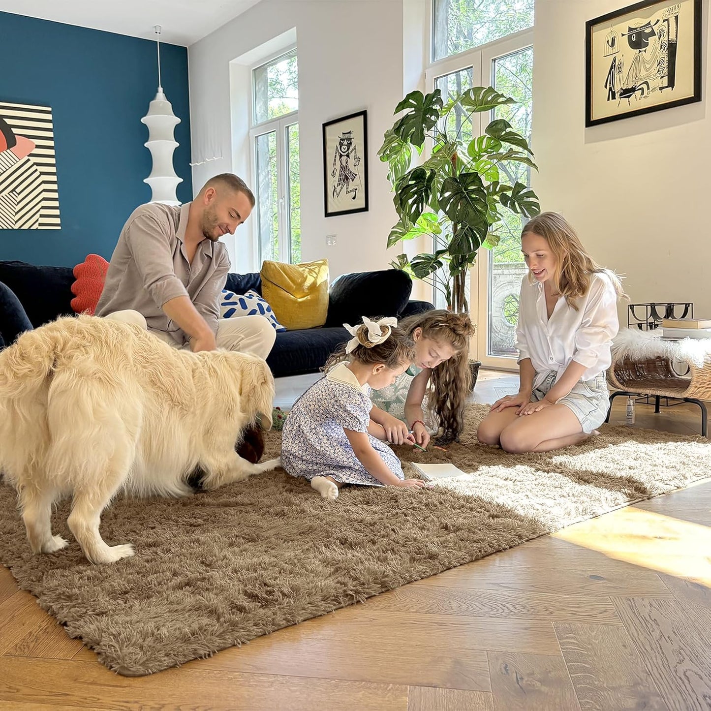 OLANLY Area Rugs - Soft Fluffy Shaggy Indoor Carpet for Living Room & Bedroom | 4x5.9 ft Taupe