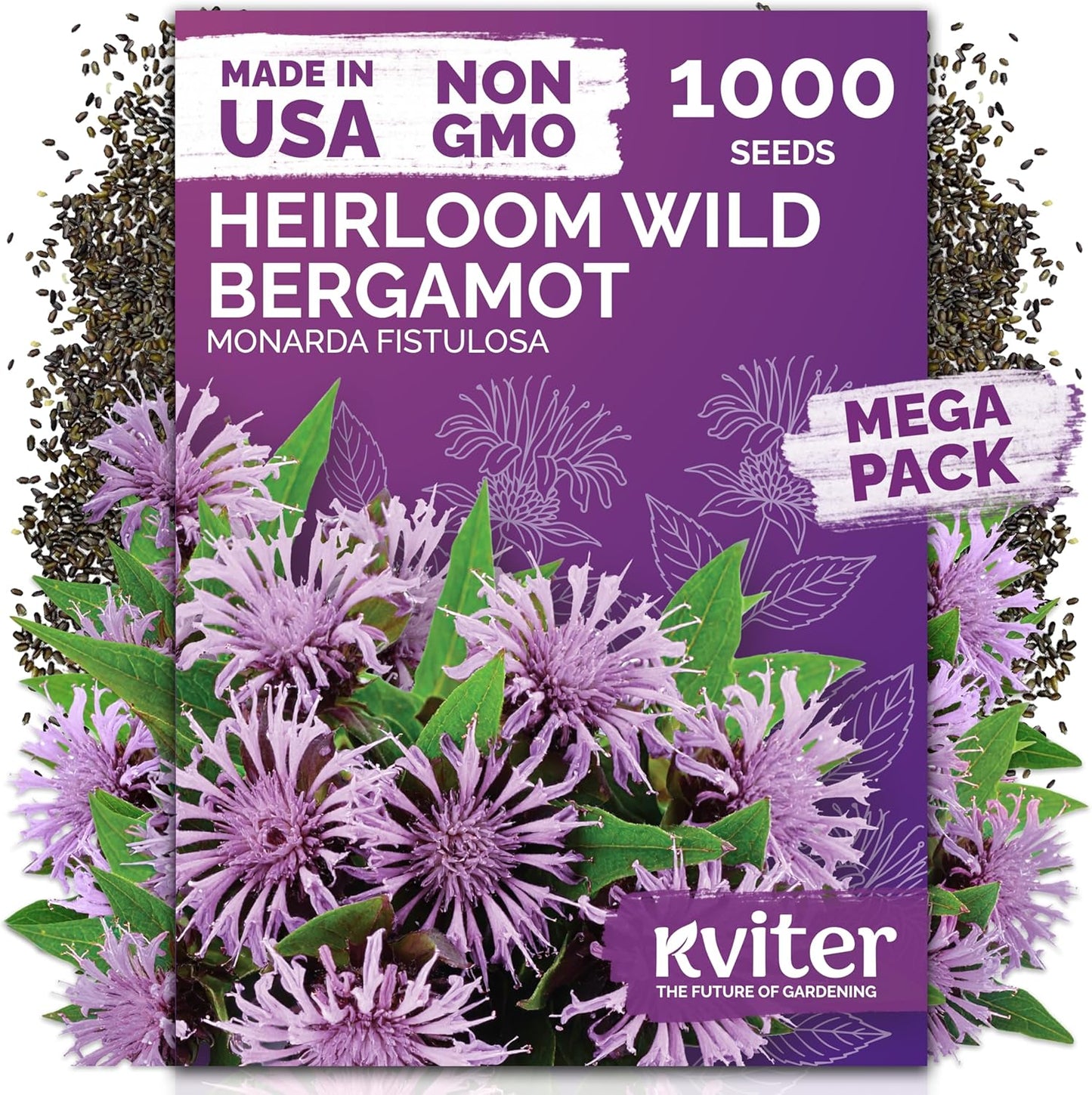 KVITER Wild Bergamot Seeds (Monarda Fistulosa) - Organic Non-GMO Pollinator Magnet | 1,000 Perennial Flower Seeds for Your Garden