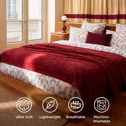 Bedsure GentleSoft Full Blanket - Cozy Scarlet Sage Throw for Women | Large 84x90 Inches