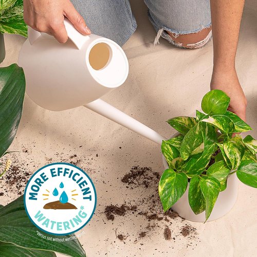 Back to the Roots 100% Organic Potting Mix - 12 Quart Value Bag | Promotes Healthy Houseplant Growth