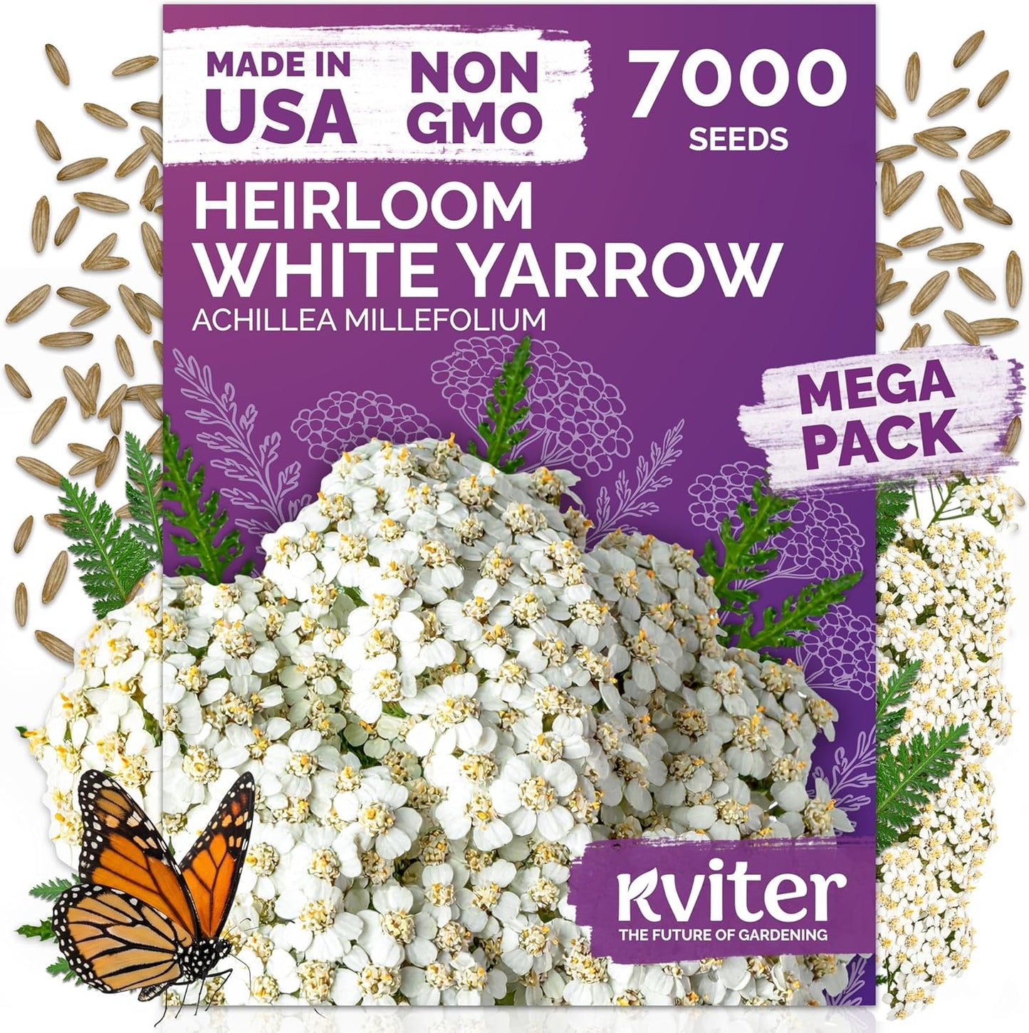 KVITER 7000 White Yarrow Seeds - Organic Heirloom Perennial Flower Seeds for Herb Gardens & Meadows
