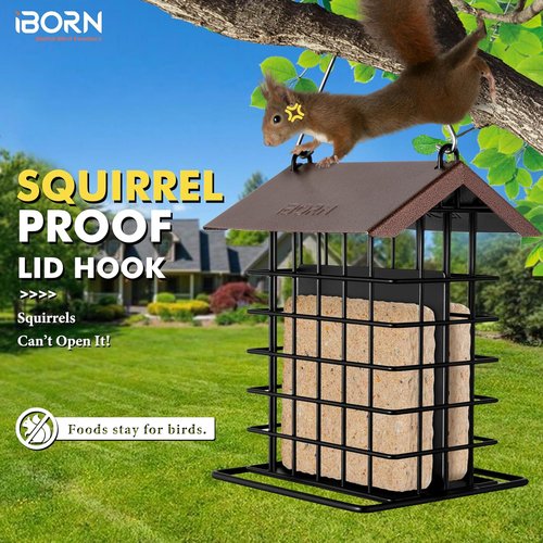 iBorn Suet Bird Feeder - Weatherproof Metal Roof & Squirrel Proof Hanger - 1 Pack, Coffee Color