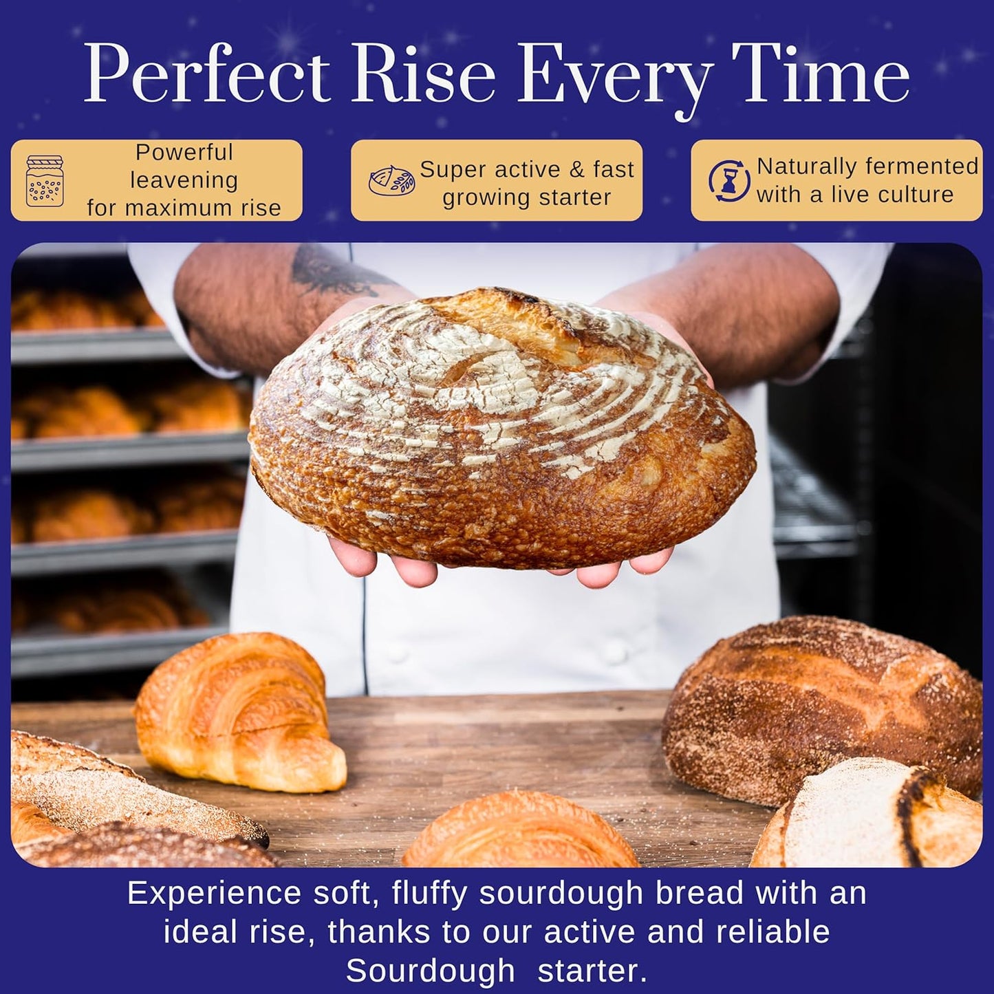 Captain Sourpants San Francisco Sourdough Starter Culture - 100+ Year Old Heirloom Kit for Bread, Pizza & More | Easy Instructions Included