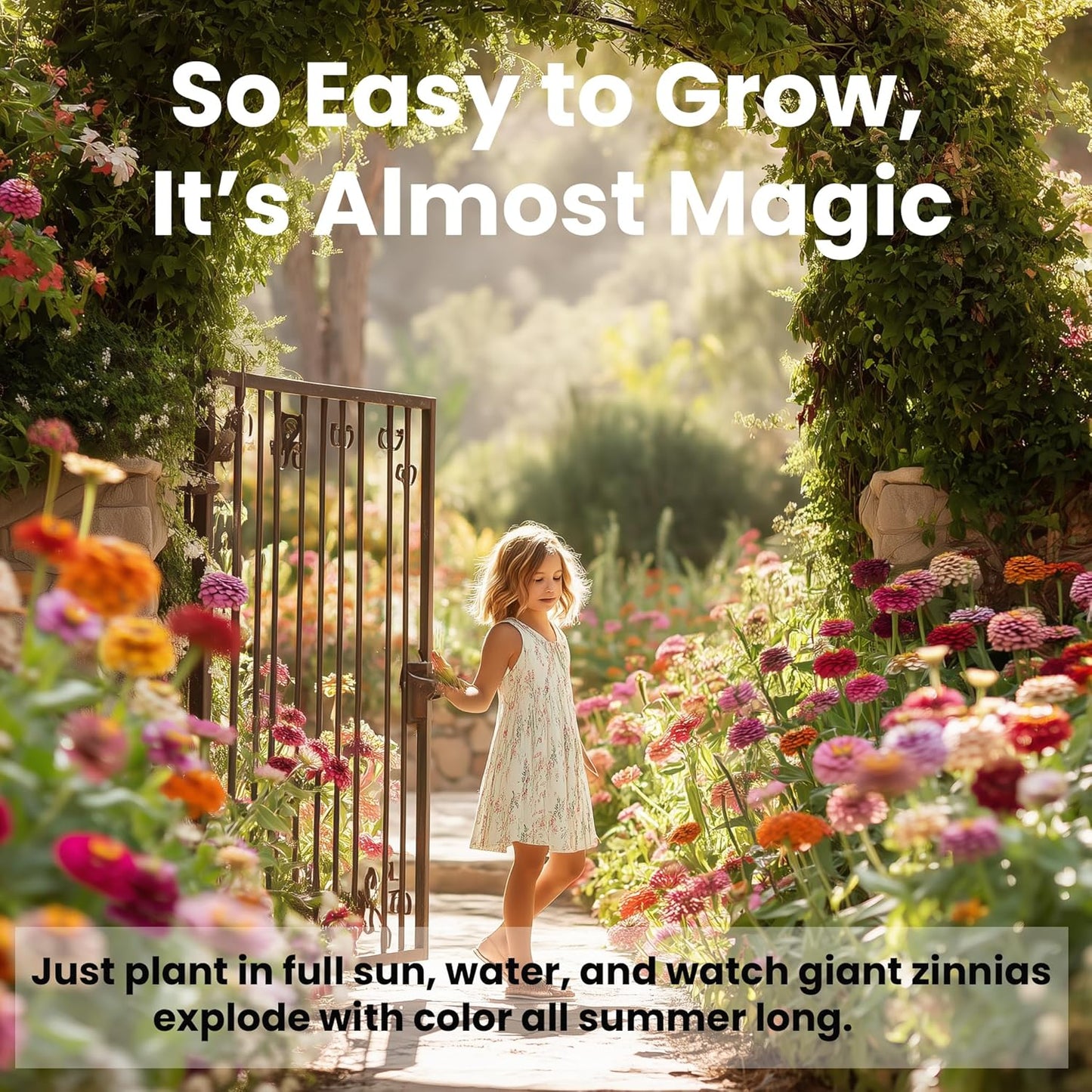 NatureZ Zinnia Seeds - Non-GMO Flower Seeds for Easy Outdoor Planting | 1/4 lb Bulk Mix