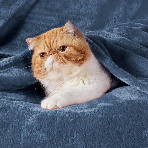 Bedsure GentleSoft Fleece Bed Blanket - Soft, Lightweight, Plush Cozy Luxury in Mineral Blue | 84x90 Inches