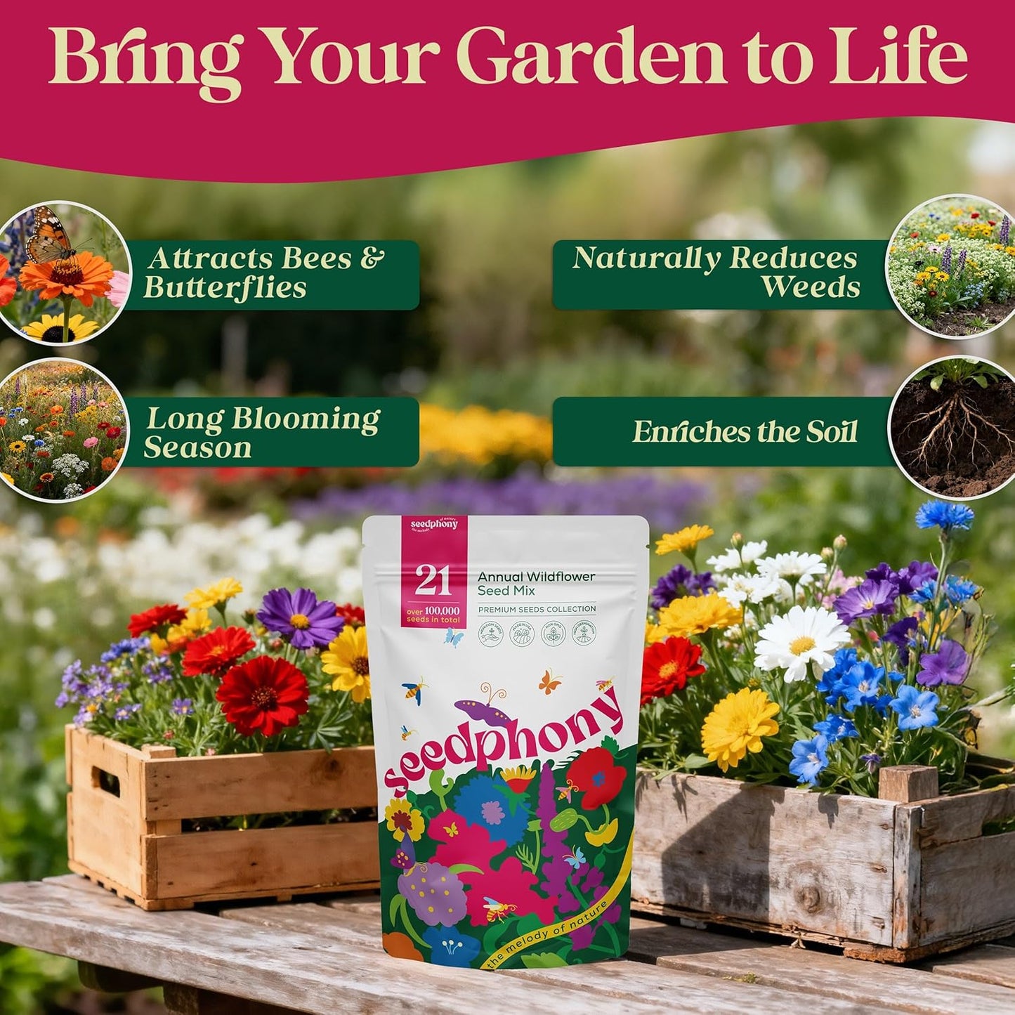 Seedphony 21 Annual Wildflower Mix - 100,000 Non-GMO Heirloom Seeds in Waterproof Packet | Attract Bees & Butterflies
